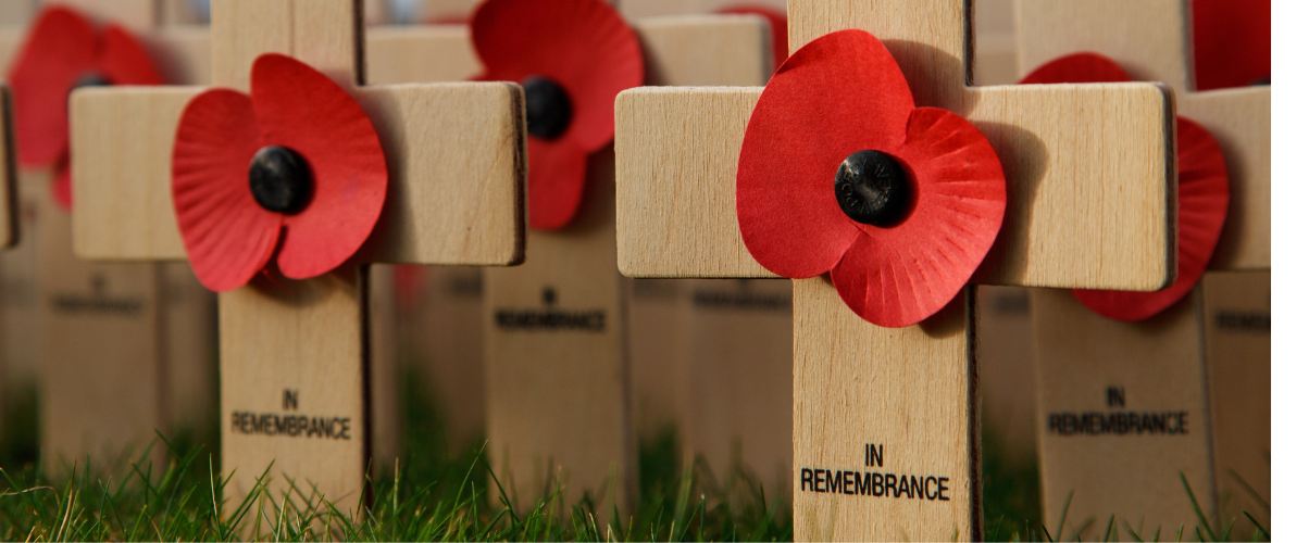 armistice & remembrance day announcement