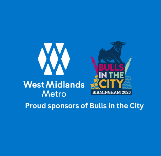 WMM sponsors Bull in the City